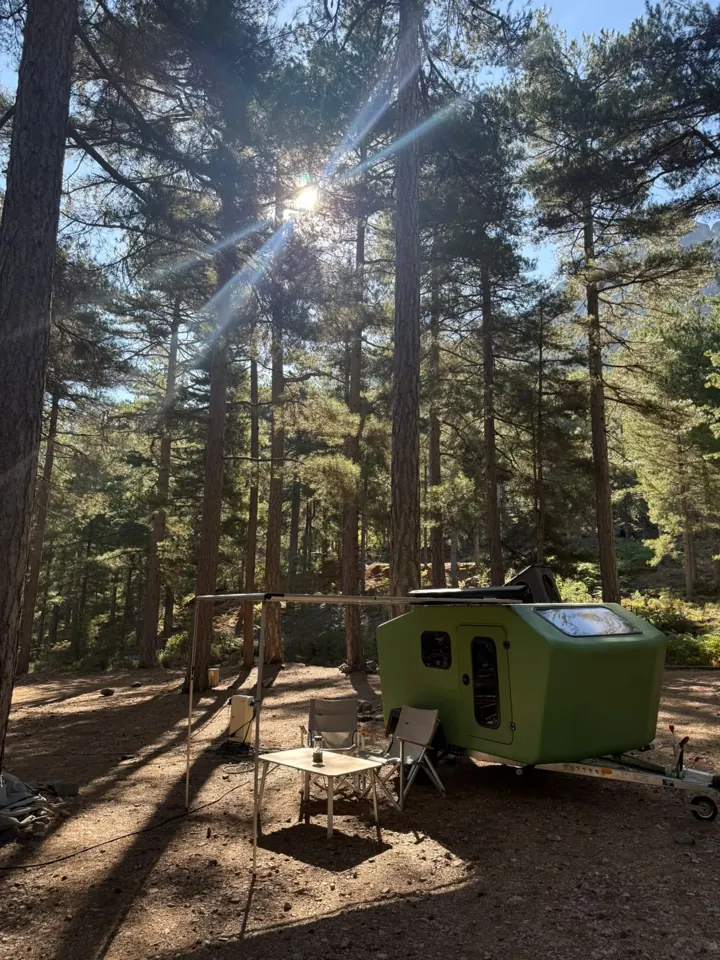 Sonnenstrahlen fallen durch hohe Kiefern auf den Glide und eine Sitzecke